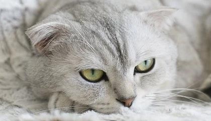 kaiyun：云端之旅，让创想落地的伙伴