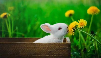 九游体育首页——开启你的全新体育娱乐体验